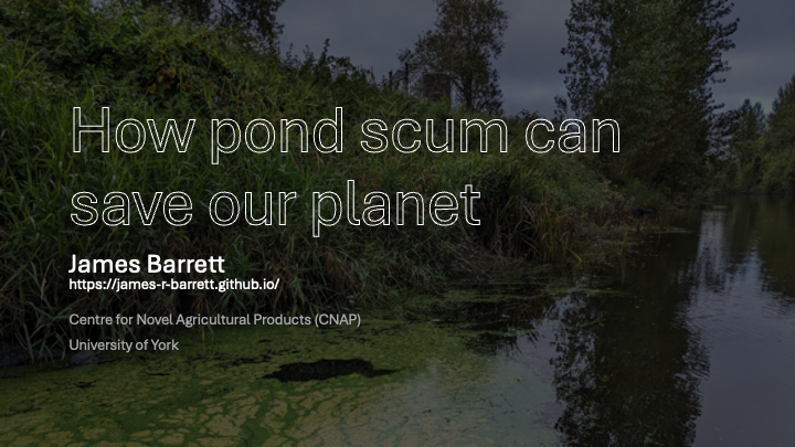 Thumbnail for How pond scum can save our plant – Pint of Science 2025